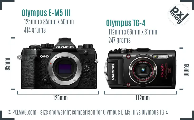 Olympus E-M5 III vs Olympus TG-4 size comparison