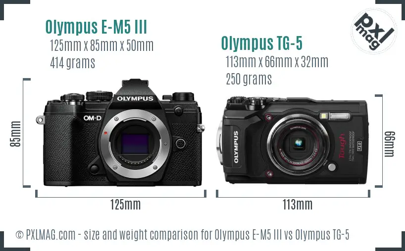 Olympus E-M5 III vs Olympus TG-5 size comparison