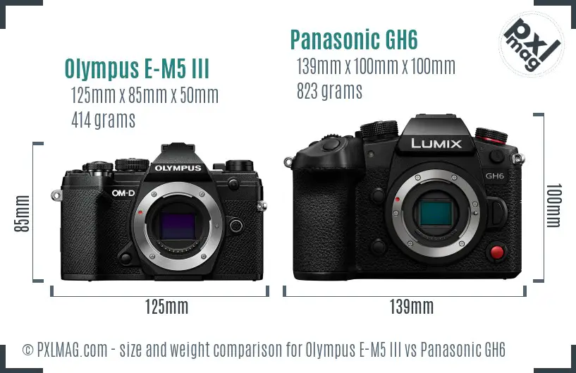 Olympus E-M5 III vs Panasonic GH6 size comparison