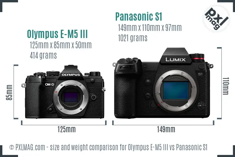 Olympus E-M5 III vs Panasonic S1 size comparison