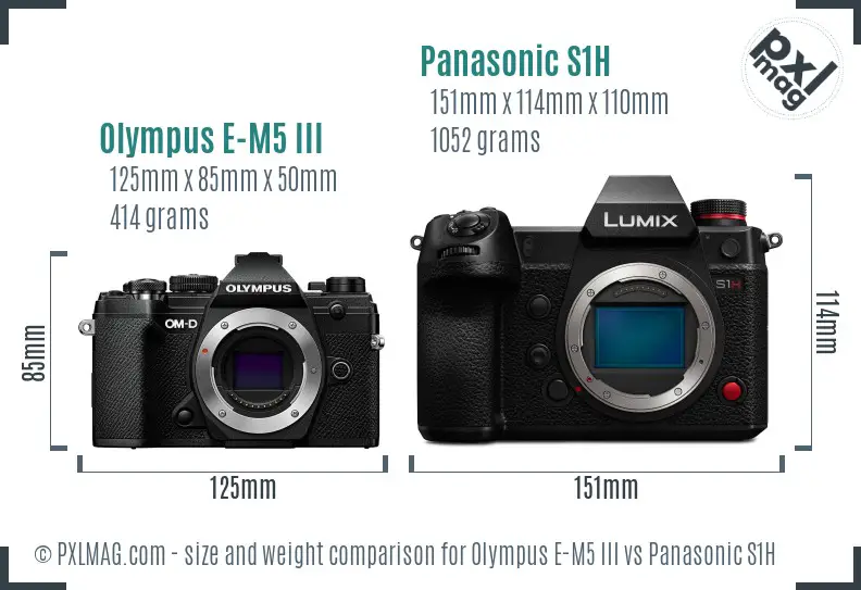 Olympus E-M5 III vs Panasonic S1H size comparison