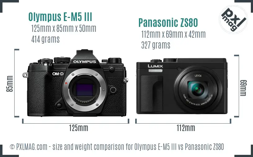 Olympus E-M5 III vs Panasonic ZS80 size comparison