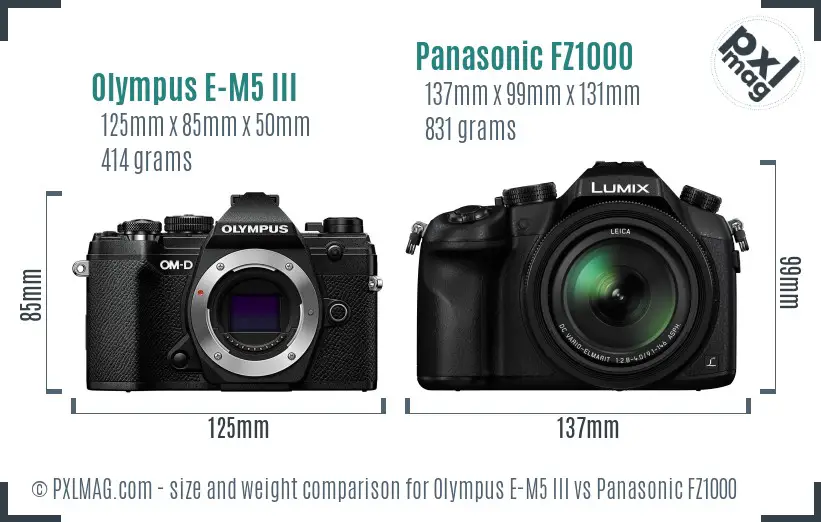 Olympus E-M5 III vs Panasonic FZ1000 size comparison