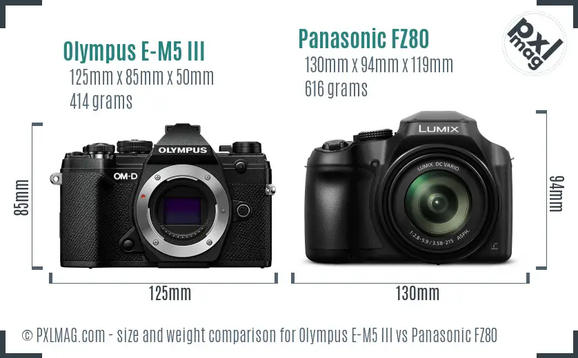 Olympus E-M5 III vs Panasonic FZ80 size comparison