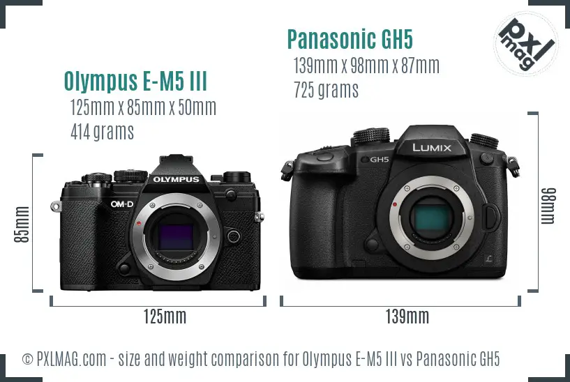 Olympus E-M5 III vs Panasonic GH5 size comparison