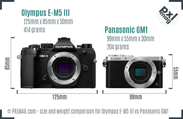 Olympus E-M5 III vs Panasonic GM1 size comparison