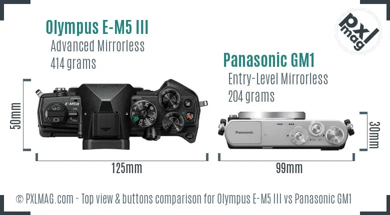 Olympus E-M5 III vs Panasonic GM1 top view buttons comparison