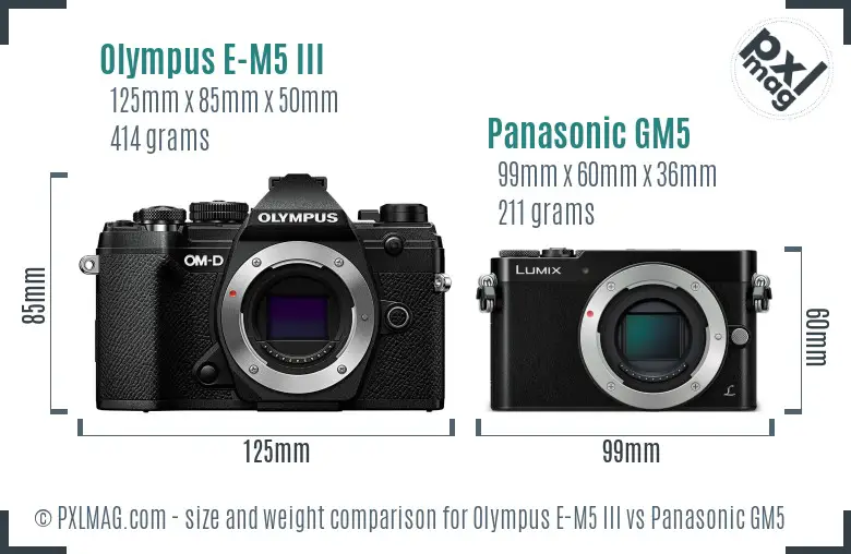 Olympus E-M5 III vs Panasonic GM5 size comparison