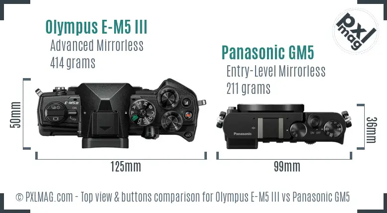 Olympus E-M5 III vs Panasonic GM5 top view buttons comparison