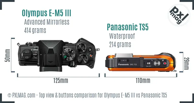 Olympus E-M5 III vs Panasonic TS5 top view buttons comparison