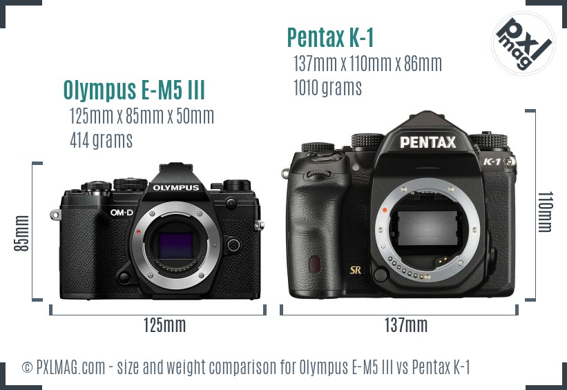 Olympus E-M5 III vs Pentax K-1 size comparison