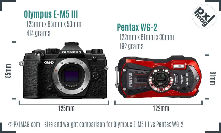 Olympus E-M5 III vs Pentax WG-2 size comparison