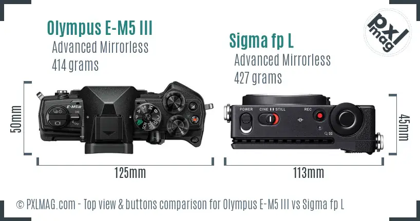 Olympus E-M5 III vs Sigma fp L top view buttons comparison