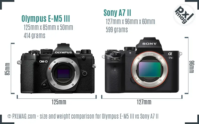 Olympus E-M5 III vs Sony A7 II size comparison