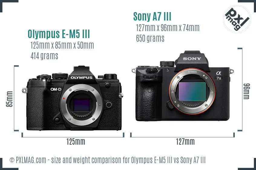 Olympus E-M5 III vs Sony A7 III size comparison