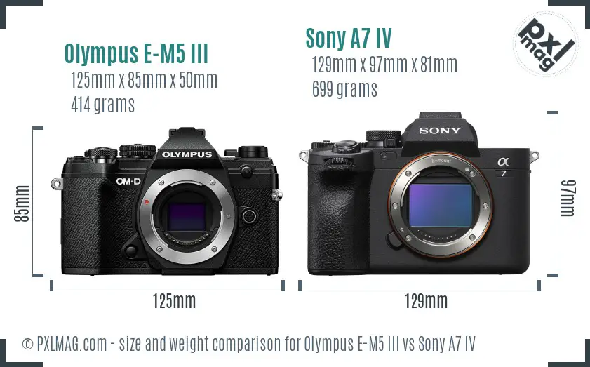 Olympus E-M5 III vs Sony A7 IV size comparison