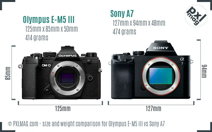 Olympus E-M5 III vs Sony A7 size comparison