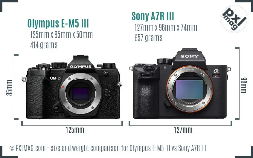 Olympus E-M5 III vs Sony A7R III size comparison