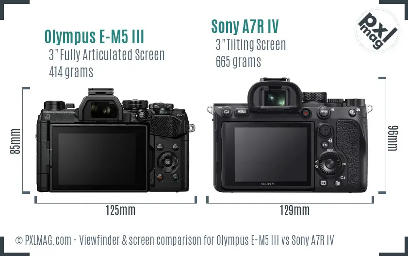 Olympus E-M5 III vs Sony A7R IV Screen and Viewfinder comparison