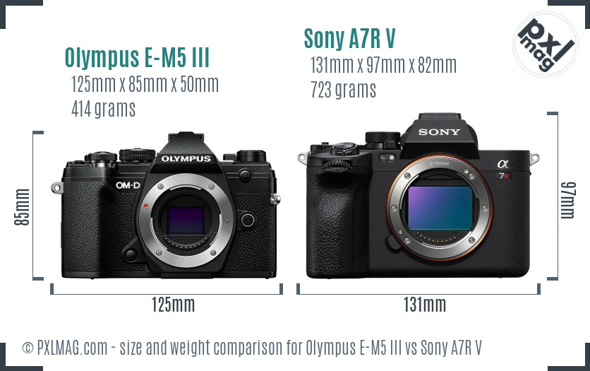 Olympus E-M5 III vs Sony A7R V size comparison