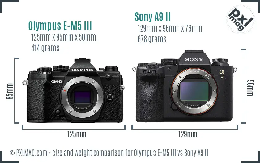 Olympus E-M5 III vs Sony A9 II size comparison