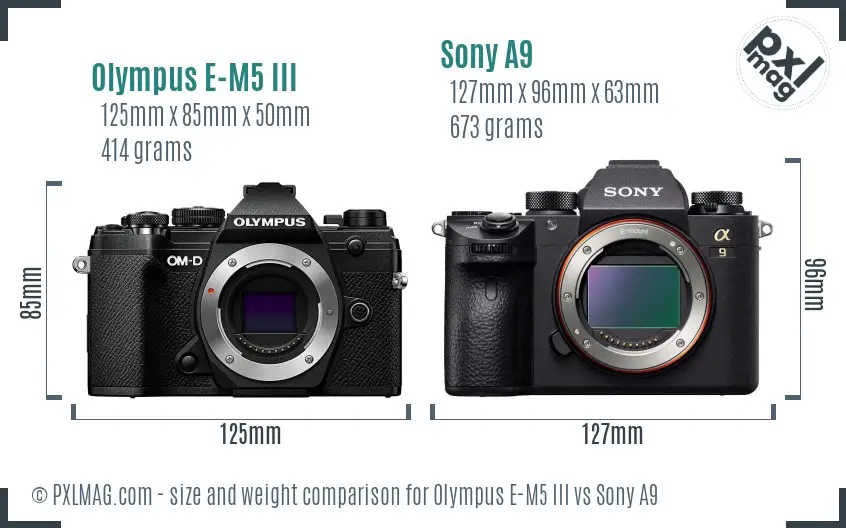 Olympus E-M5 III vs Sony A9 size comparison