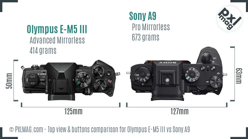 Olympus E-M5 III vs Sony A9 top view buttons comparison