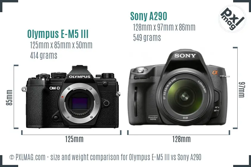 Olympus E-M5 III vs Sony A290 size comparison
