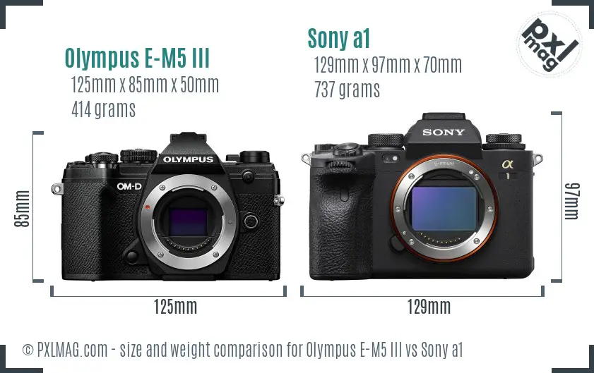 Olympus E-M5 III vs Sony a1 size comparison