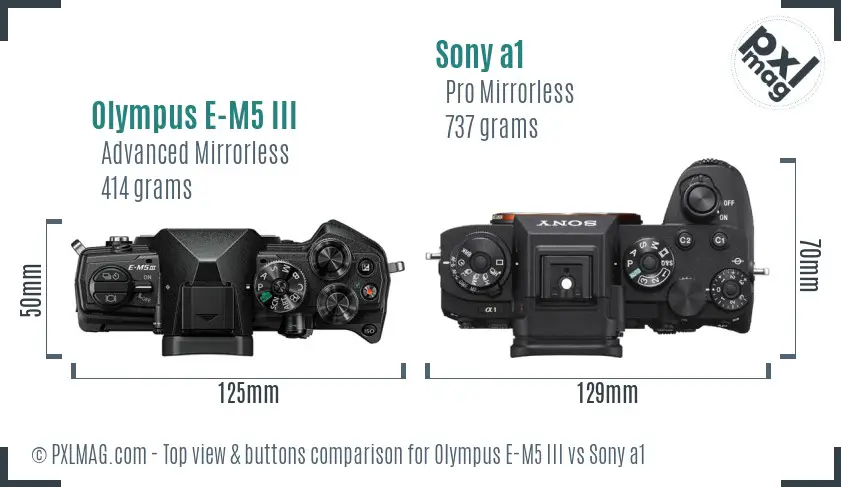 Olympus E-M5 III vs Sony a1 top view buttons comparison