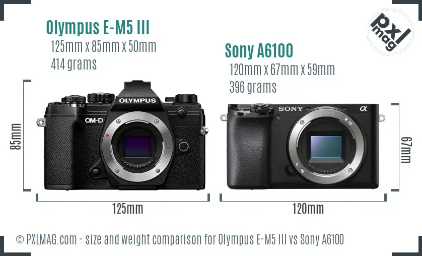 Olympus E-M5 III vs Sony A6100 size comparison