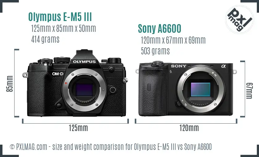Olympus E-M5 III vs Sony A6600 size comparison