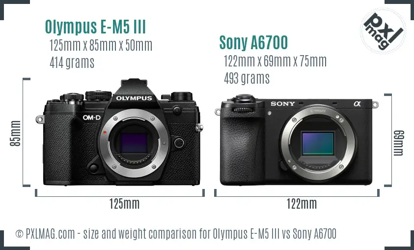 Olympus E-M5 III vs Sony A6700 size comparison