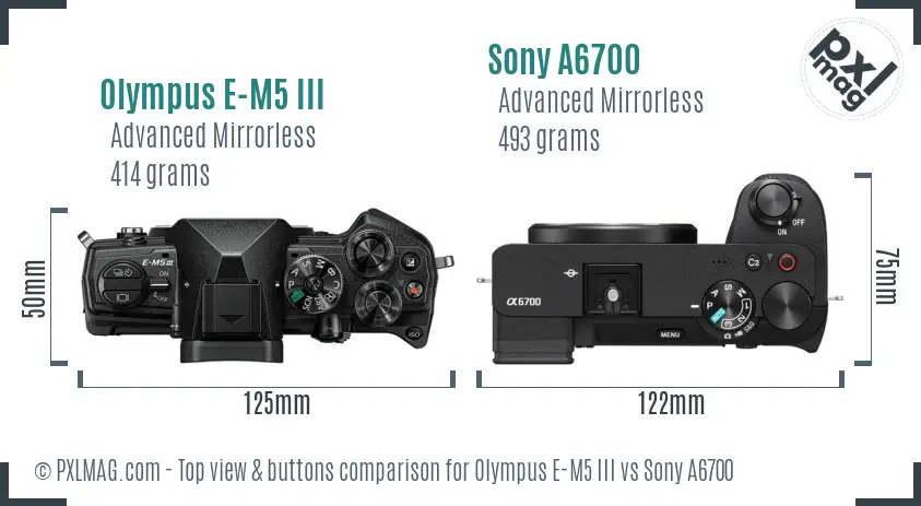Olympus E-M5 III vs Sony A6700 top view buttons comparison