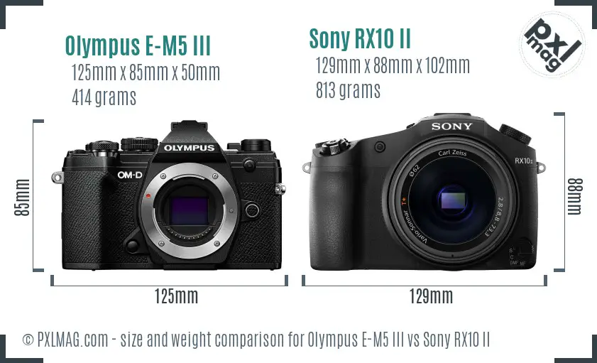 Olympus E-M5 III vs Sony RX10 II size comparison