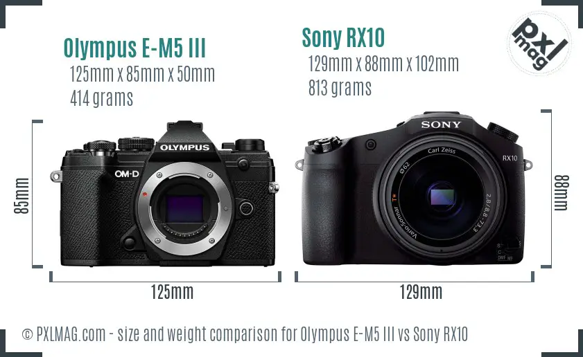 Olympus E-M5 III vs Sony RX10 size comparison