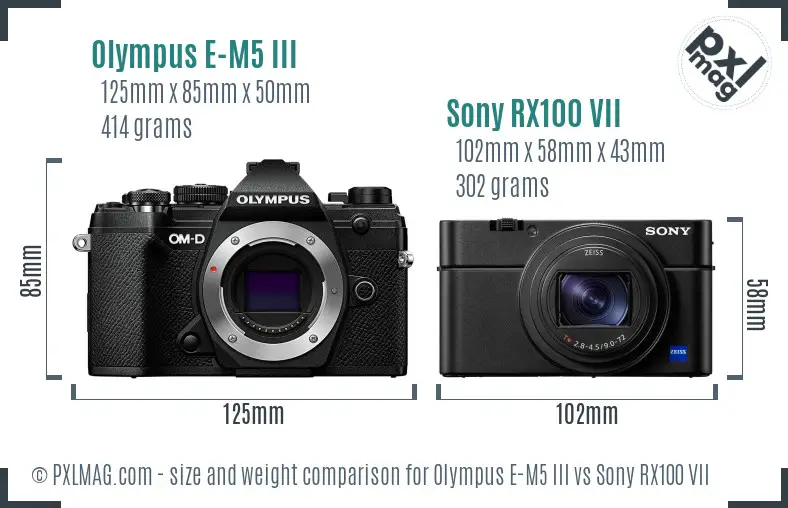 Olympus E-M5 III vs Sony RX100 VII size comparison