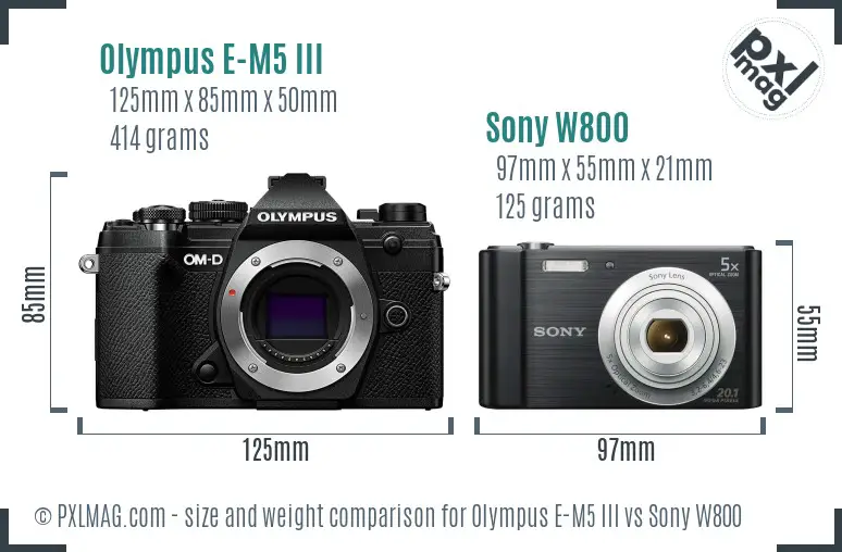 Olympus E-M5 III vs Sony W800 size comparison