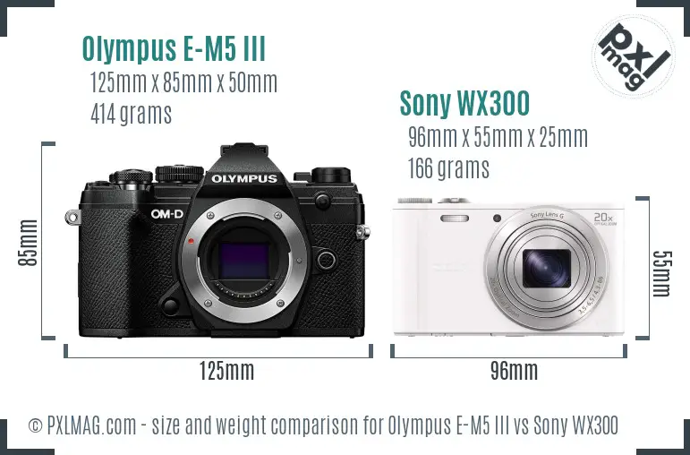 Olympus E-M5 III vs Sony WX300 size comparison