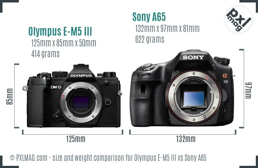 Olympus E-M5 III vs Sony A65 size comparison