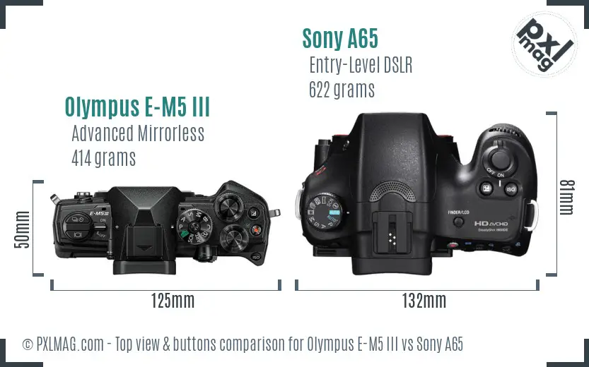 Olympus E-M5 III vs Sony A65 top view buttons comparison