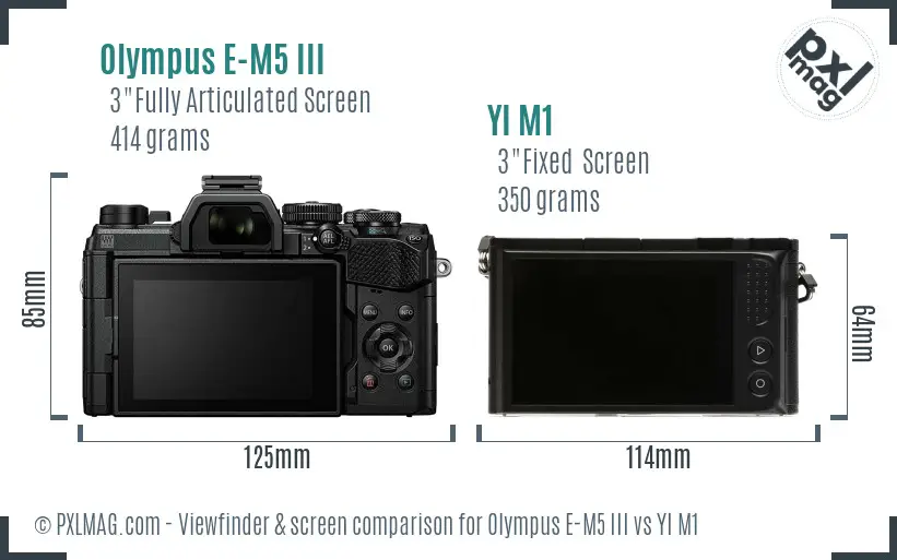Olympus E-M5 III vs YI M1 Screen and Viewfinder comparison