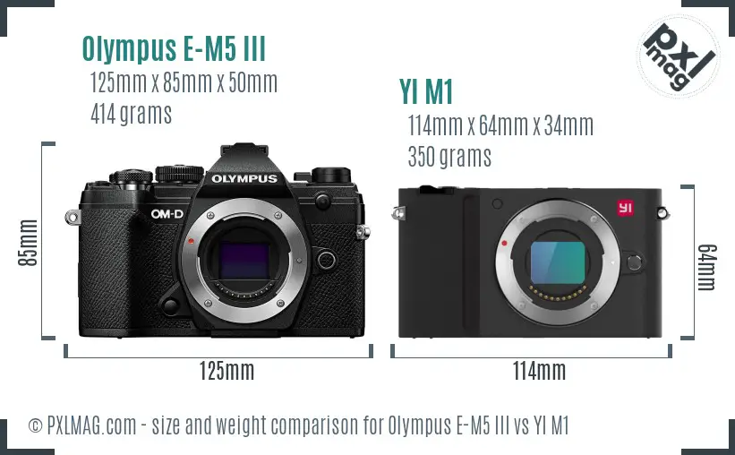 Olympus E-M5 III vs YI M1 size comparison