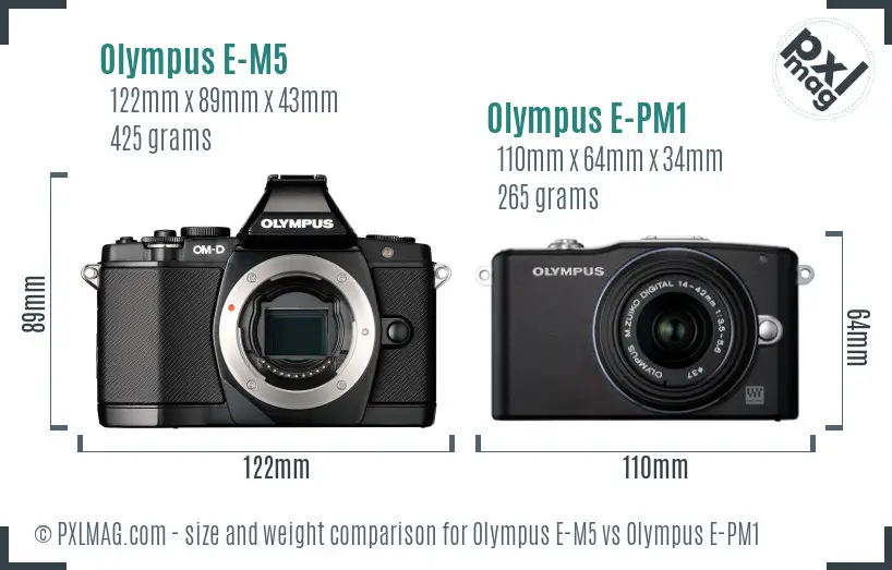 Olympus E-M5 vs Olympus E-PM1 size comparison