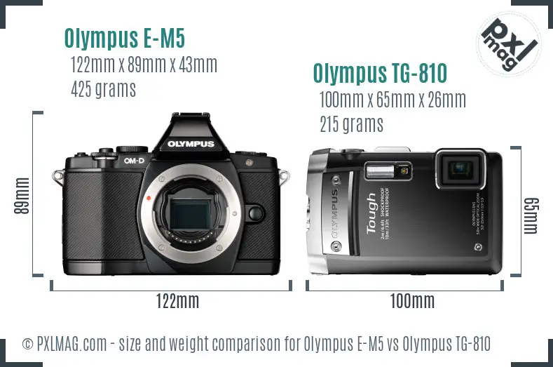 Olympus E-M5 vs Olympus TG-810 size comparison