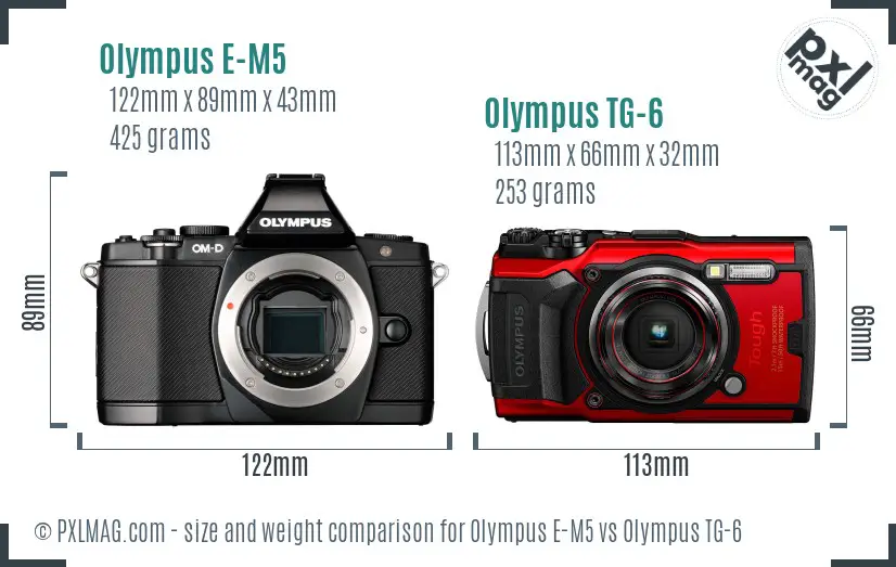 Olympus E-M5 vs Olympus TG-6 size comparison