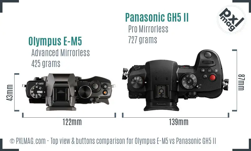 Olympus E-M5 vs Panasonic GH5 II top view buttons comparison