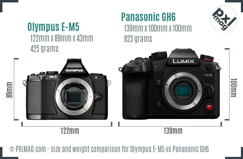 Olympus E-M5 vs Panasonic GH6 size comparison