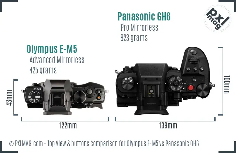 Olympus E-M5 vs Panasonic GH6 top view buttons comparison