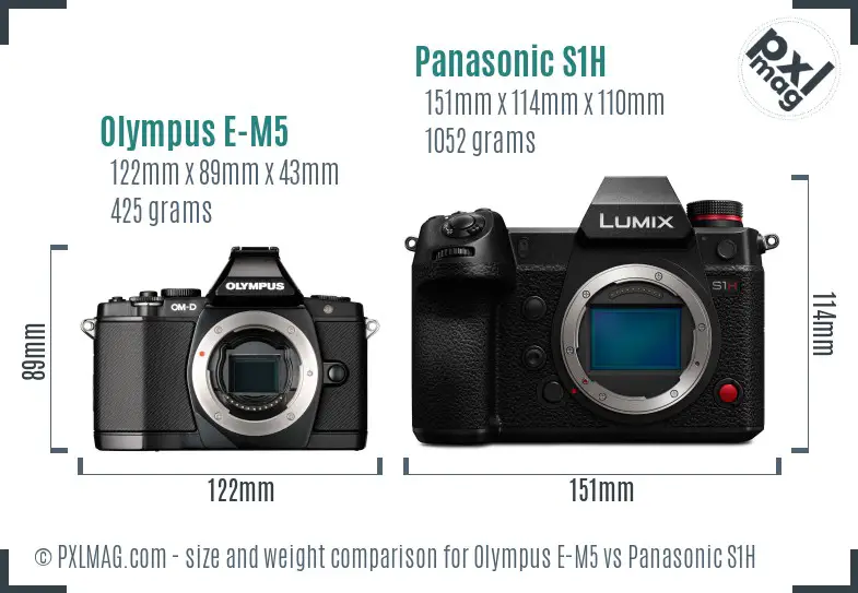 Olympus E-M5 vs Panasonic S1H size comparison